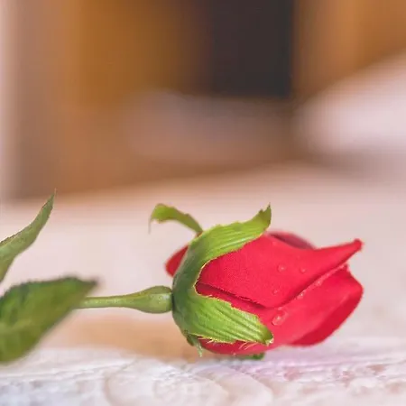 Apartman Prkacin Trogir