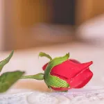 شقة Prkacin تروغير