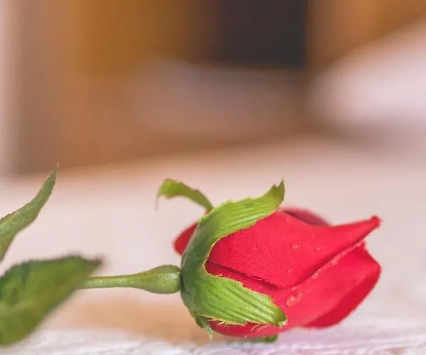 Appartamento Prkacin Traù