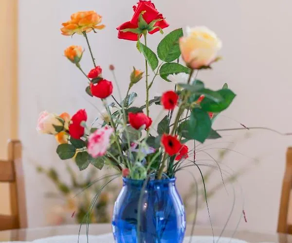 Appartamento Prkacin *